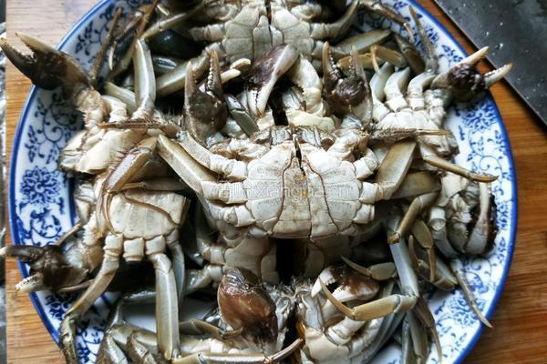 抱仔虾蒸六月黄的做法图解7