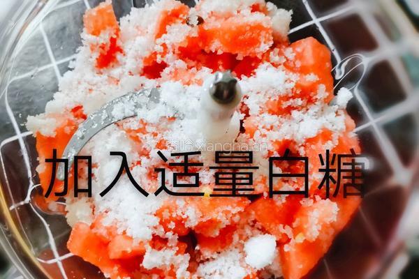 冰凉可口的西瓜汁的做法图解4