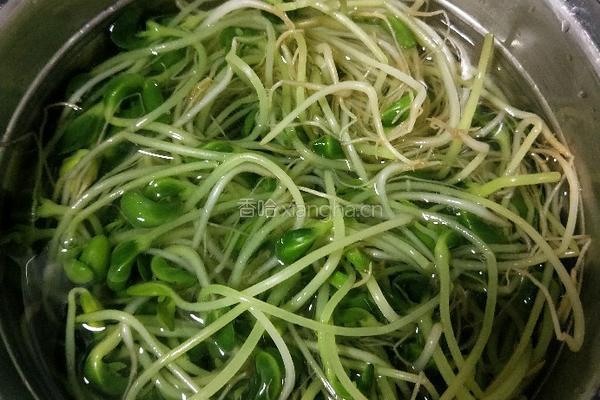 炝拌黑豆苗的做法图解4