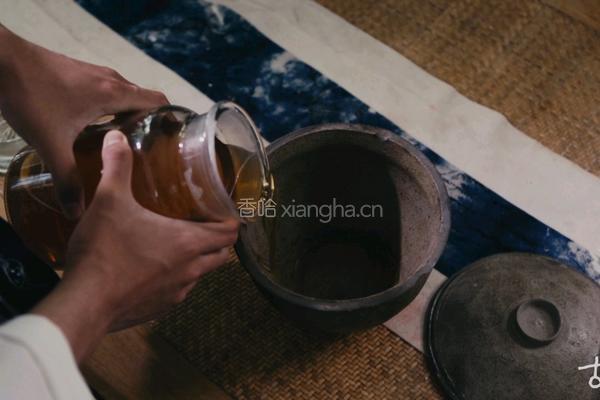 杨梅酒的做法图解11