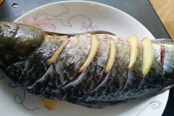 蘑菇鲫鱼汤的做法图解2