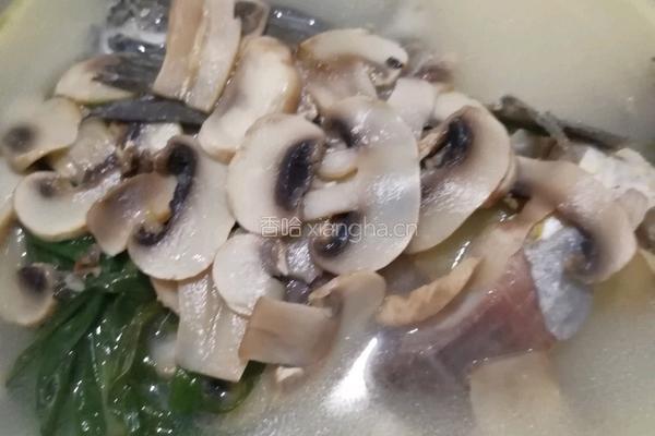 蘑菇鲫鱼汤的做法图解6