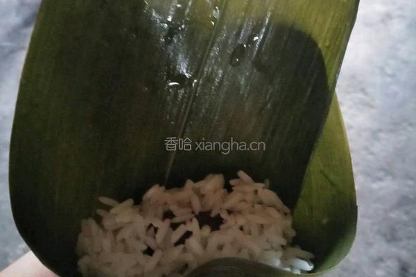 红枣粽子的做法图解3