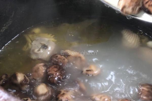 栀子花鸡汤的做法图解8
