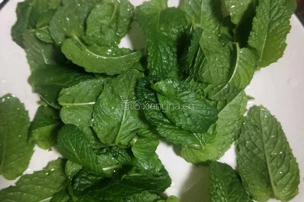 大玫瑰薄荷茶的做法图解2