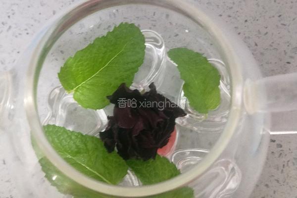大玫瑰薄荷茶的做法图解6