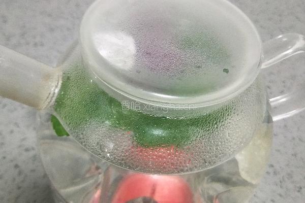大玫瑰薄荷茶的做法图解9