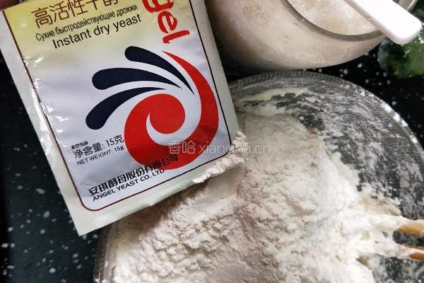香酥麻辣肉饼的做法图解1