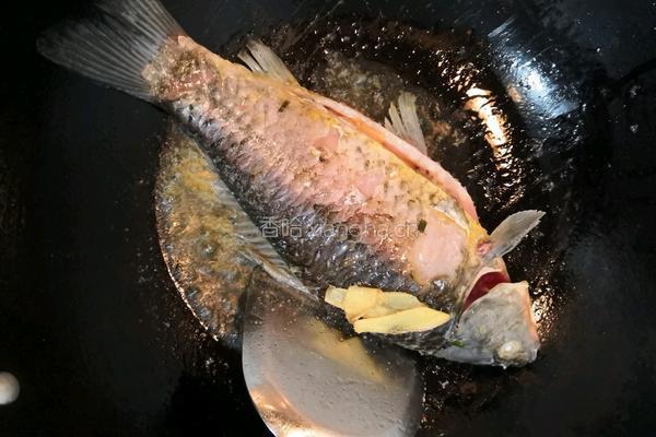 鲫鱼粉皮汤的做法图解6
