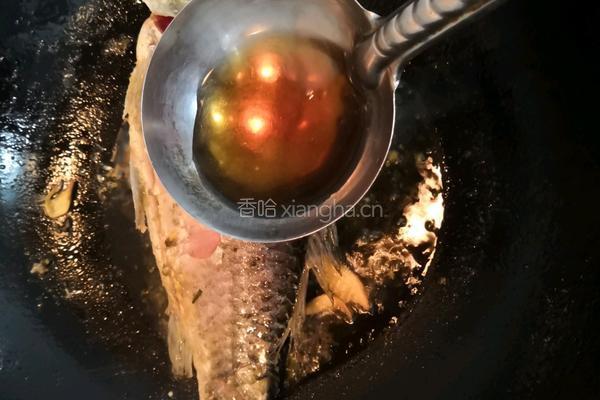 鲫鱼粉皮汤的做法图解7