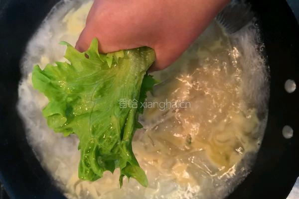 鲫鱼粉皮汤的做法图解12