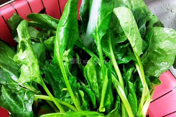白芸豆拌菠菜的做法图解1