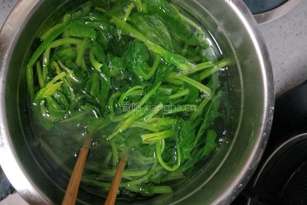 白芸豆拌菠菜的做法图解4