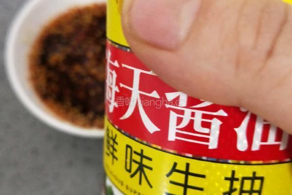 万能料汁的做法图解14