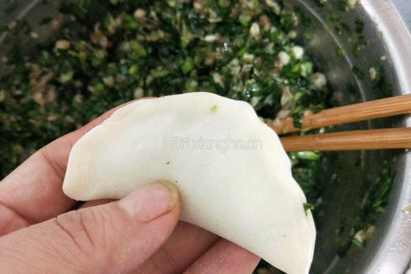 韭菜猪肉饺子的做法图解16
