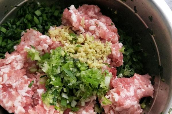 韭菜猪肉饺子的做法图解7