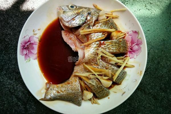 清蒸黄翅鱼的做法图解4