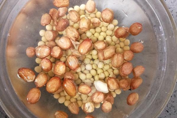 红枣花生豆浆的做法图解2