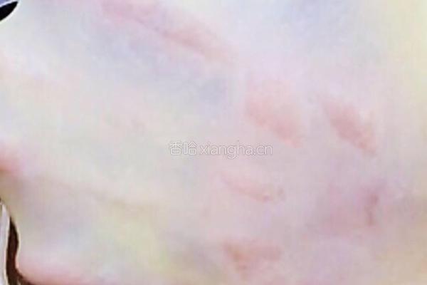 椰蓉双色吐司的做法图解3