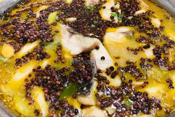 麻椒鱼的做法图解9