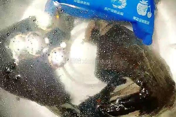 云南鬼鸡的做法图解4