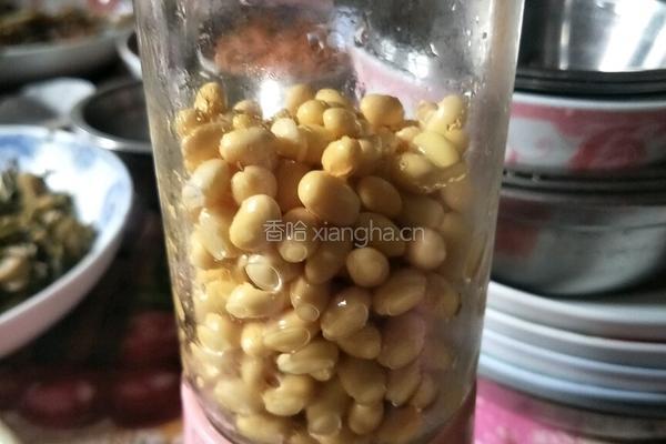 豆浆的做法图解2
