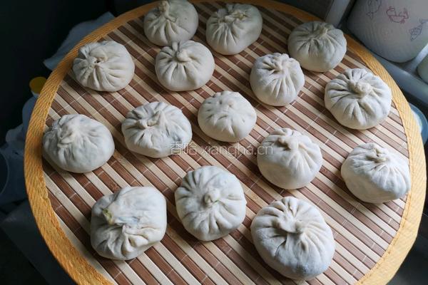 青萝卜大肉包的做法图解16