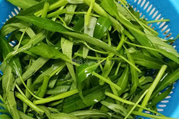 清炒空心菜的做法图解1
