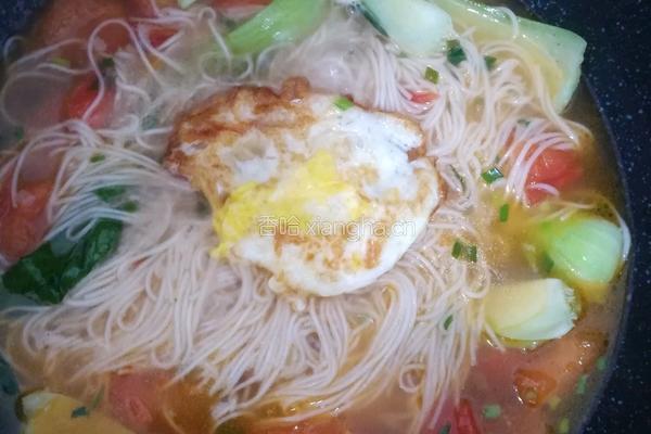 番茄鸡蛋面的做法图解5