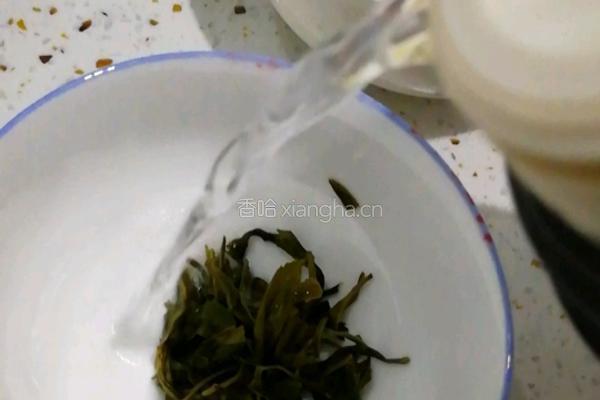 绿茶奶茶的做法图解4