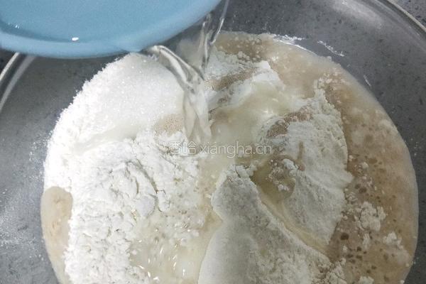鲜肉包子的做法图解4