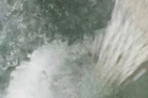 芋圆芒果西米露的做法图解9