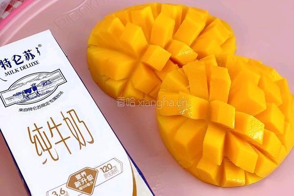冰凉特仑苏牛奶芒果块的做法图解2