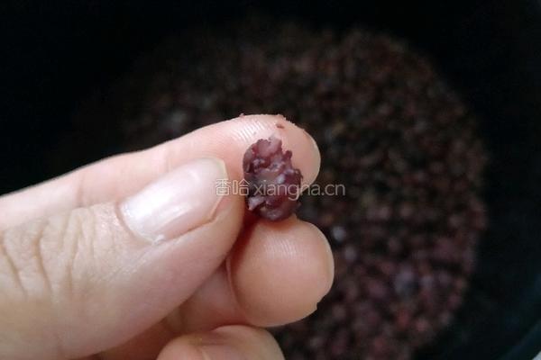 红豆三明治的做法图解4