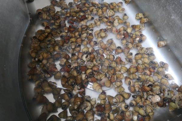 麻辣螺丝的做法图解1