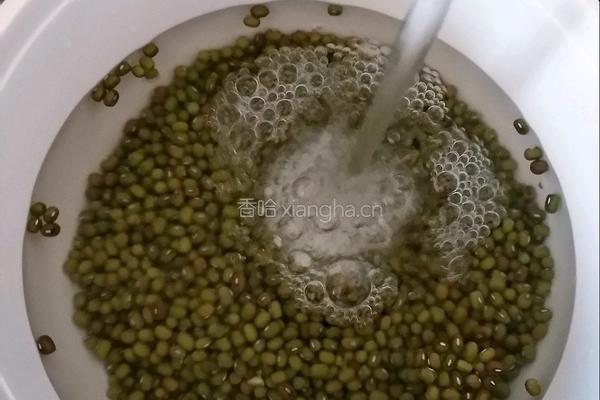 绿豆汤的做法图解2