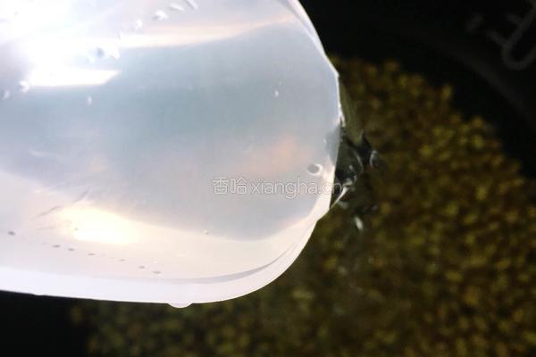 绿豆冰棍的做法图解4