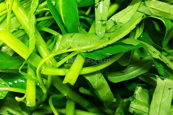 干豆豉蒜蓉炒通菜的做法图解1