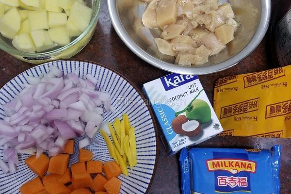 进阶版土豆鸡肉咖喱饭的做法图解1