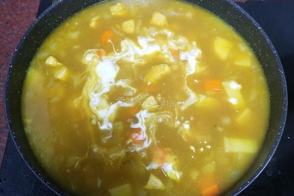 进阶版土豆鸡肉咖喱饭的做法图解6