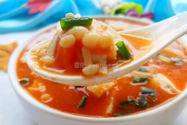 茄汁金针菇炖豆腐的做法图解1