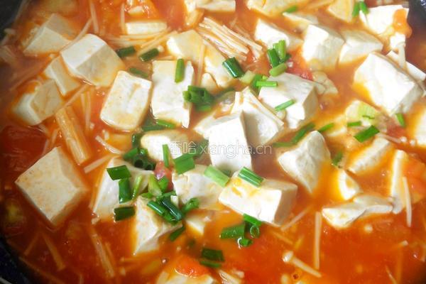 茄汁金针菇炖豆腐的做法图解16