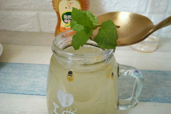 黄金百香果蜂蜜薄荷水的做法图解6