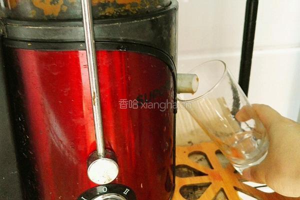 胡萝卜西瓜奶昔的做法图解8