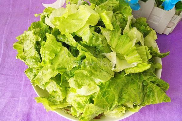 糖醋生菜的做法图解5