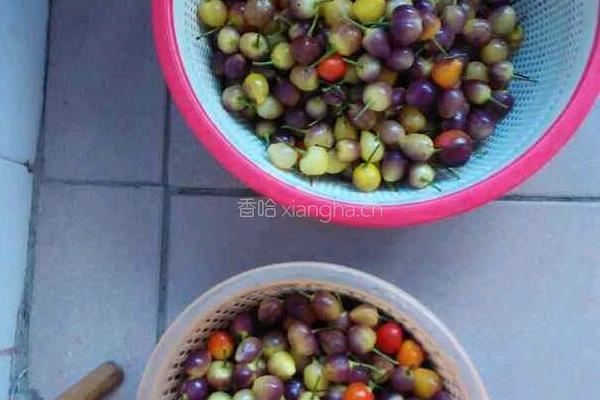 七彩泡椒的做法图解2