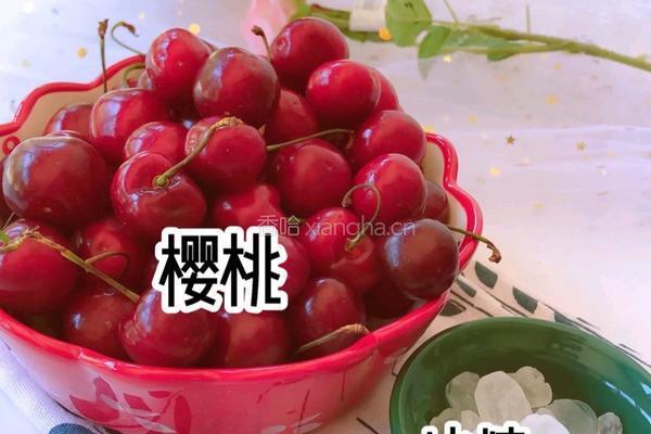 樱桃罐头的做法图解1