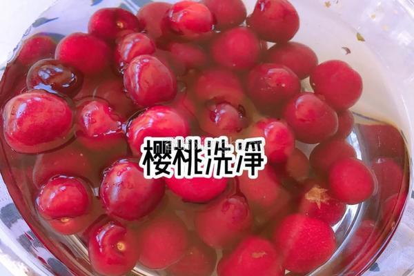 樱桃罐头的做法图解2