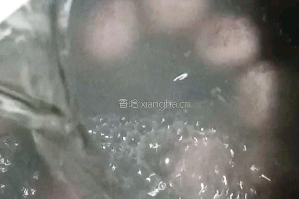 懒人版糯米糍的做法图解4