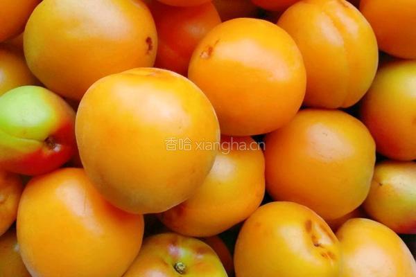 糖渍黄杏的做法图解2